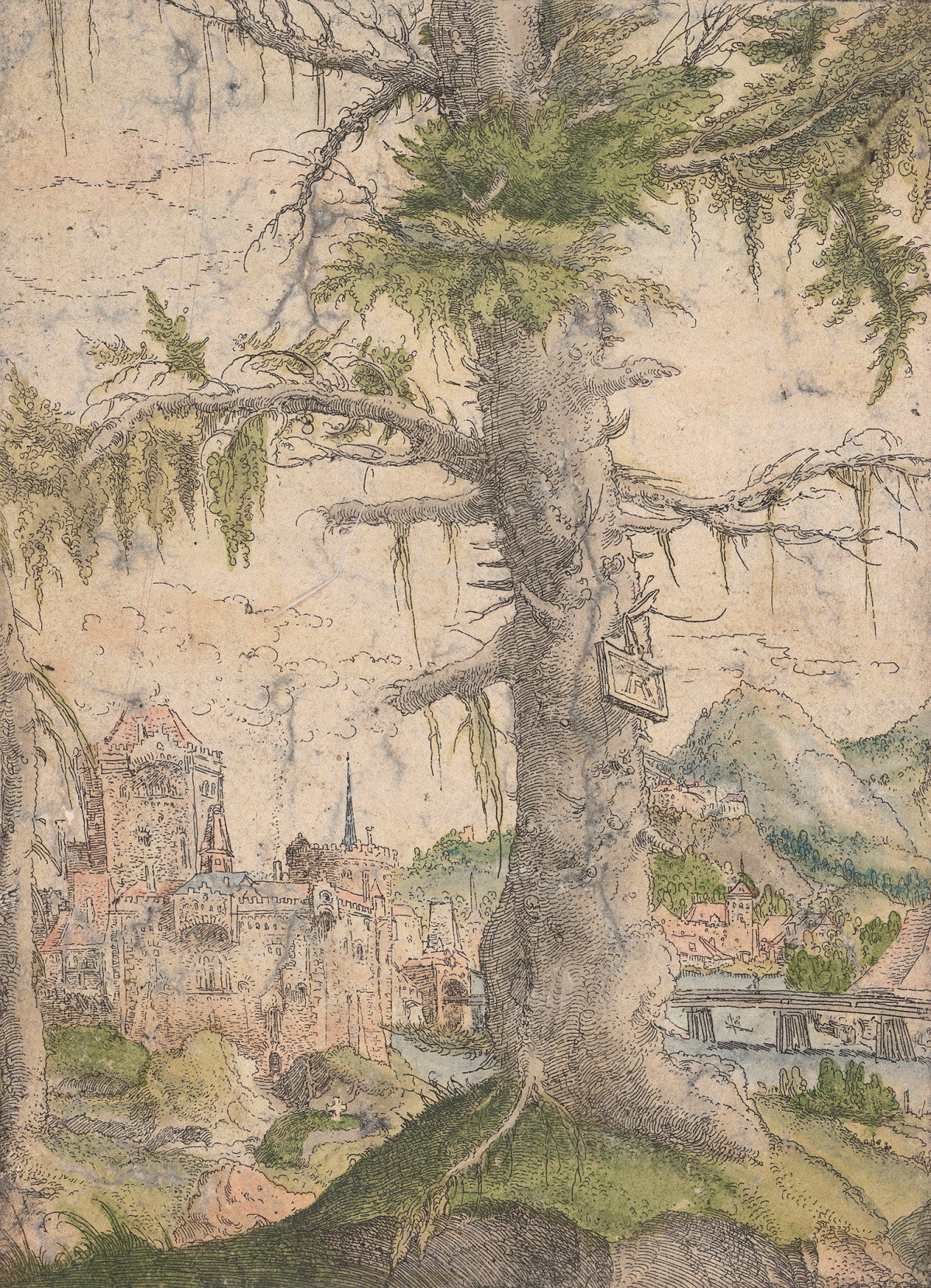 Albrecht Altdorfer: The Small Spruce, ca 1520–1522