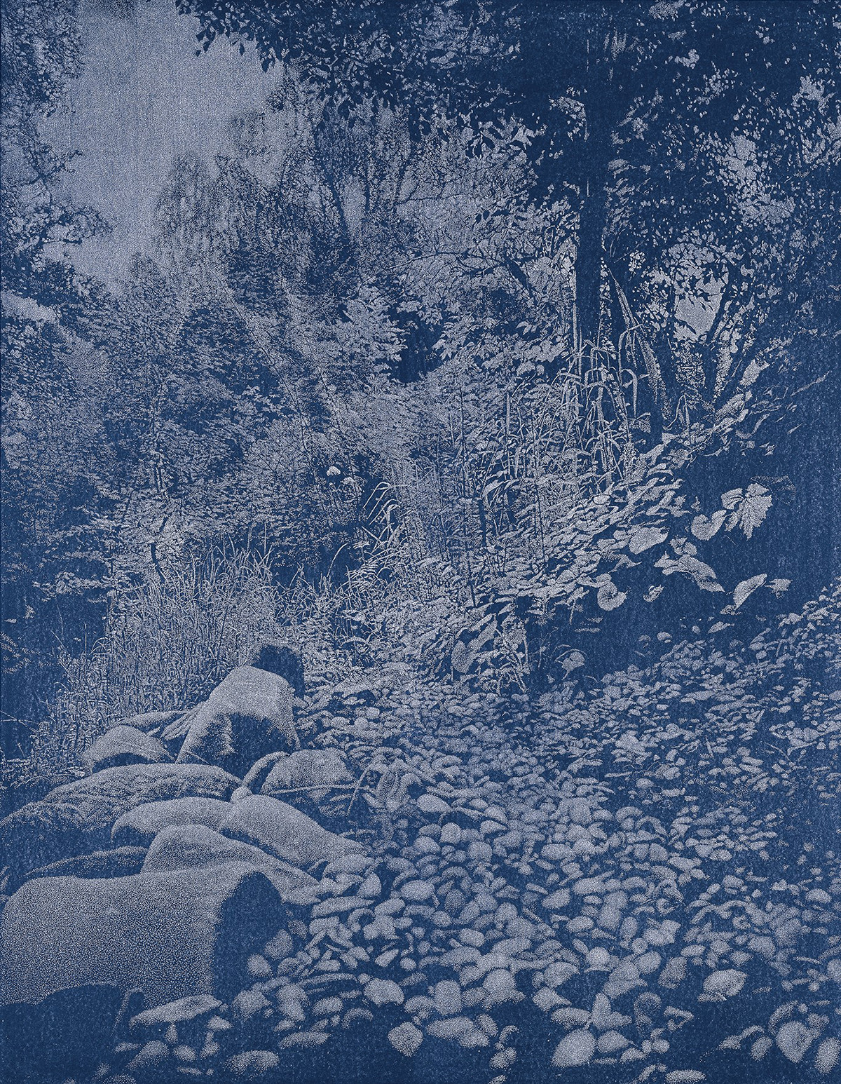 Franz Gertsch: Rüschegg, 1988/89