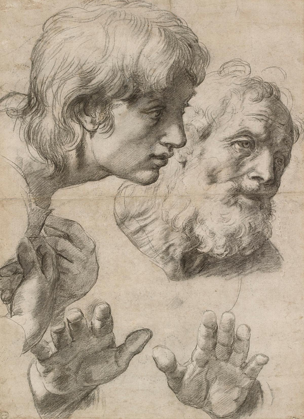 Raffael: Kopf- und Handstudie, 1519-20