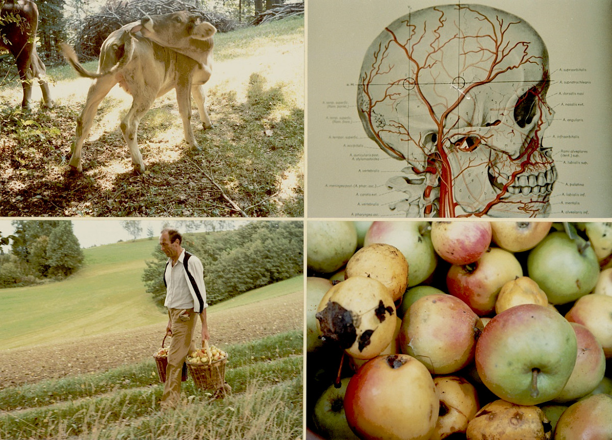 Heinz Cibulka: Archive No.: 332 (from the series <em>Fühlt-Most / Feels-Cider</em>), 1981