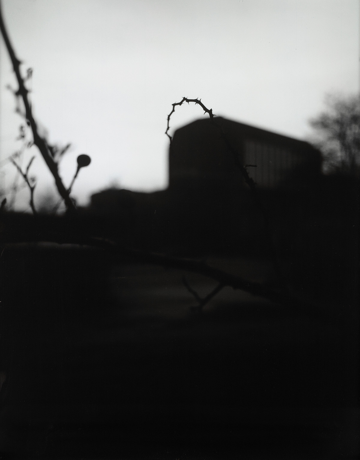 Michael Schmidt: Untitled, from Truce, 1985 – 1987