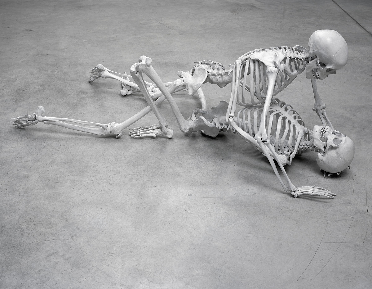 Marc Quinn: The Selfish Gene, 2007