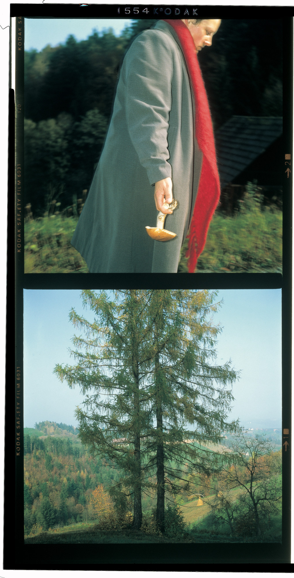 Manfred Willmann | Aus der Serie „Für Christine“, 1984-85 | Cibachrome | 50,5 × 112 cm | ALBERTINA, Wien - Erwerbung aus Mitteln der Galerienförderung des BMKÖS 2021