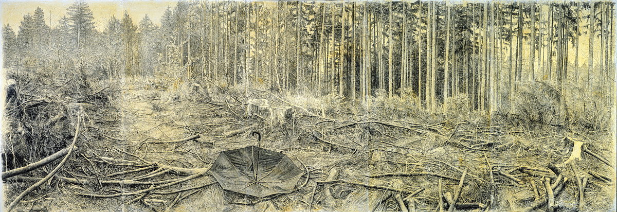 Hauenschild Ritter: Lichtung, 1994