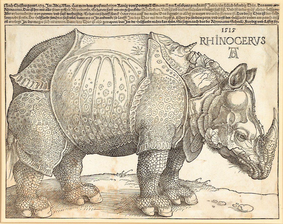 Albrecht Dürer: Das Rhinozerus, 1515