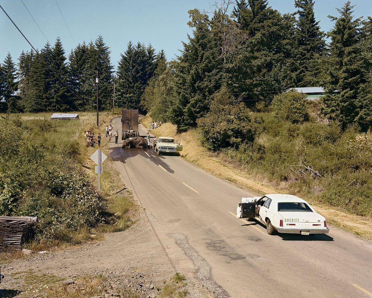 Joel Sternfeld: Exhausted Renegade Elephant, Woodland, Washington, aus der Serie: American Prospects, June 1979