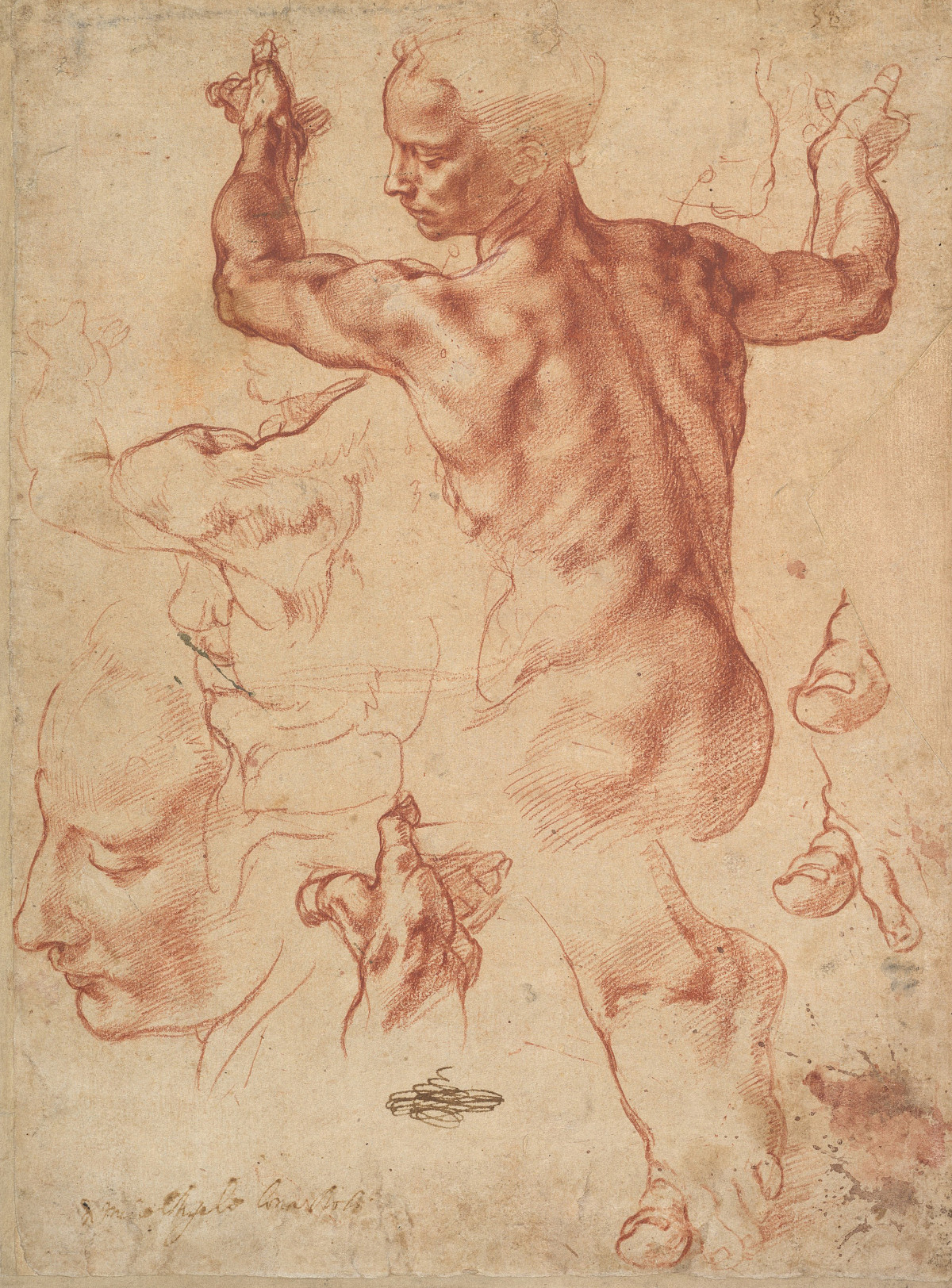 Michelangelo Buonarroti: Studies for the Libyan Sibyl, c. 1510/11