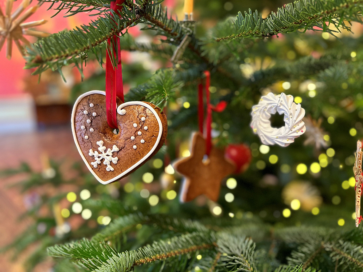 Der Christbaum: in der ALBERTINA, 2023