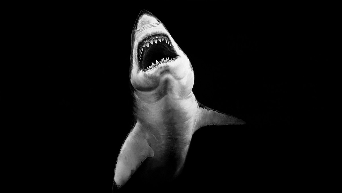 Robert Longo: Untitled (Phantom Vessel), 2008