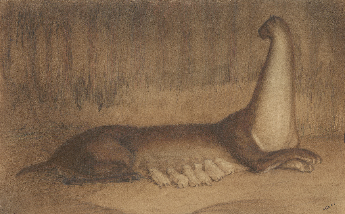 Alfred Kubin: Das Gezüchtete, 1903-06