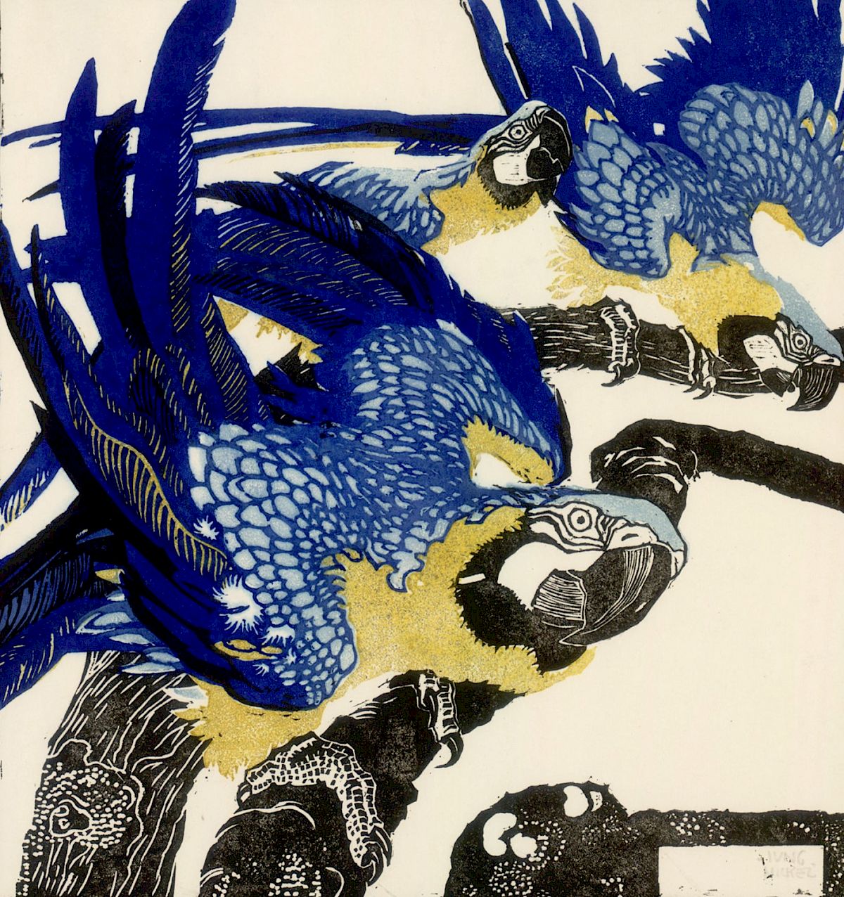 Ludwig Heinrich Jungnickel: Three Blue Macaws, 1909