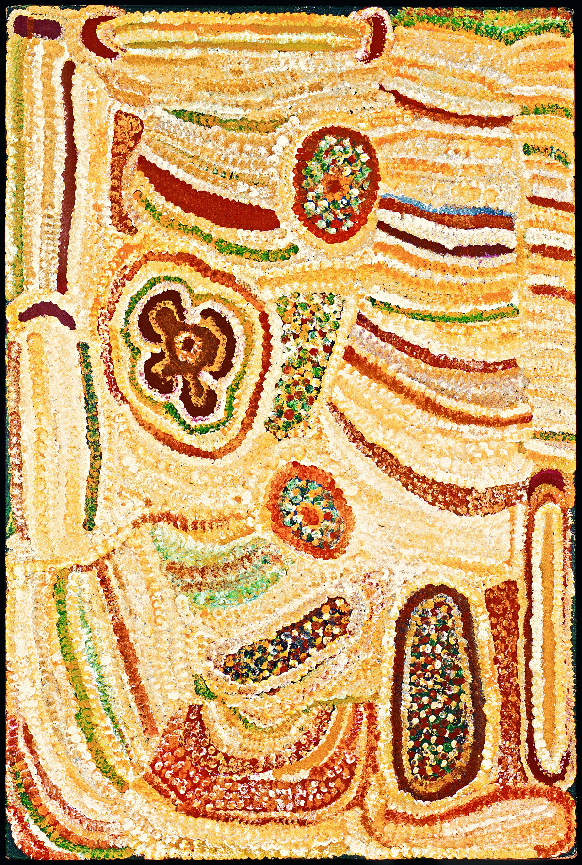 Elizabeth Nyumi Nungurrayi: Parwalla near Kiwirrkurra, 1998