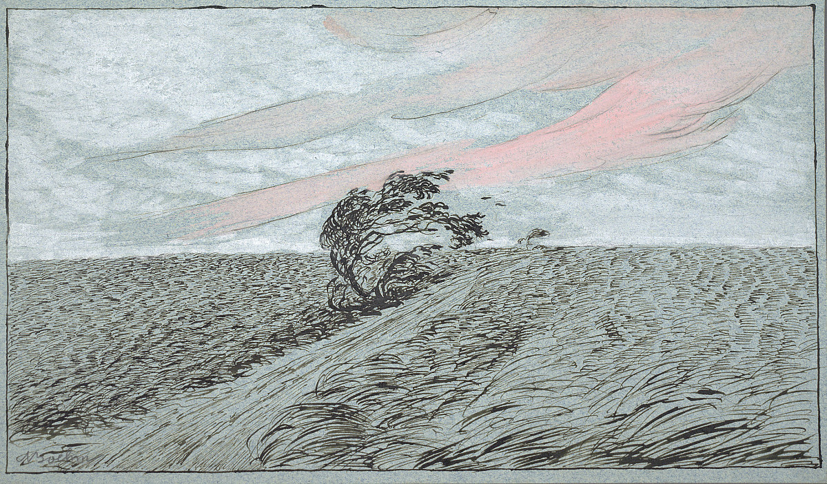 A field with a dirt road in the middle and a single tree. A strong wind is blowing across the field and a pink cloud can be seen in the sky, possibly an evening mood.