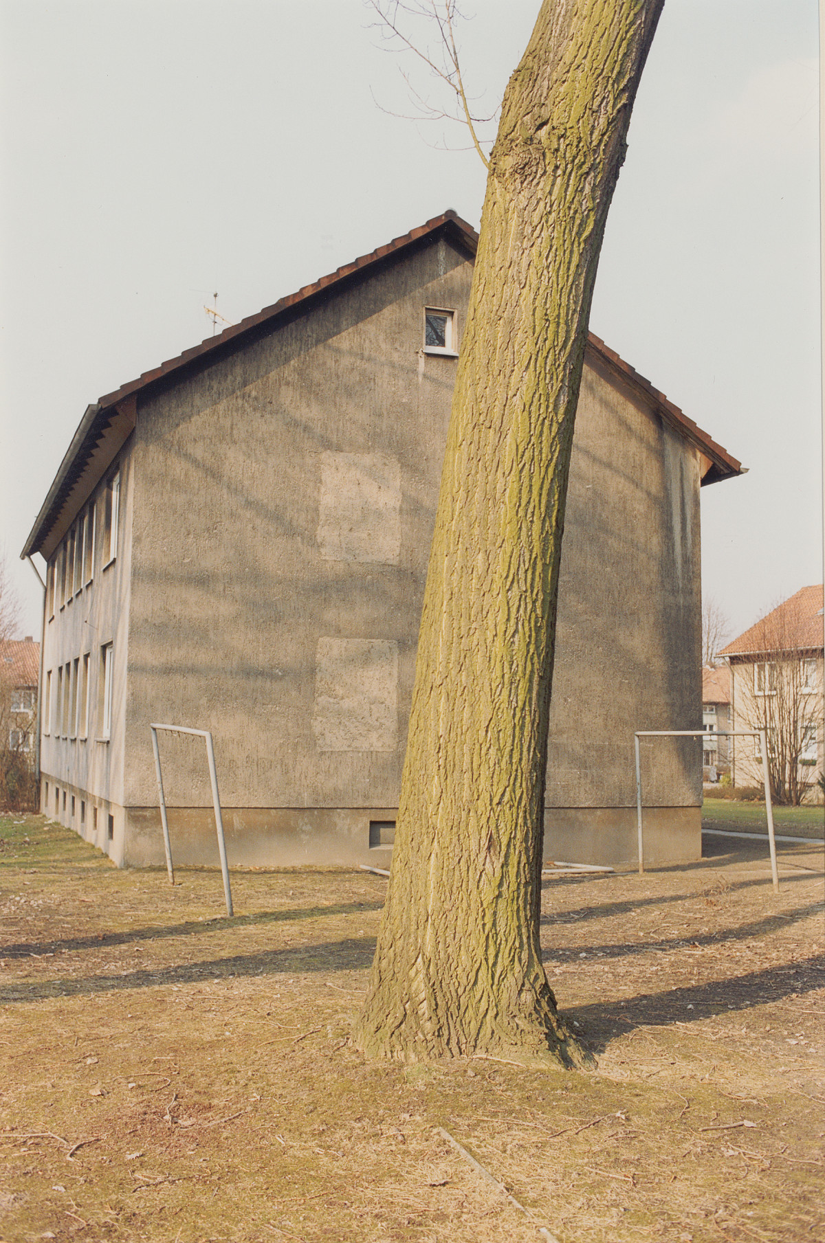 Detail of a tree: only the trunk can be seen, but not the treetop. Behind it is an old settlement house and two empty carpet poles.