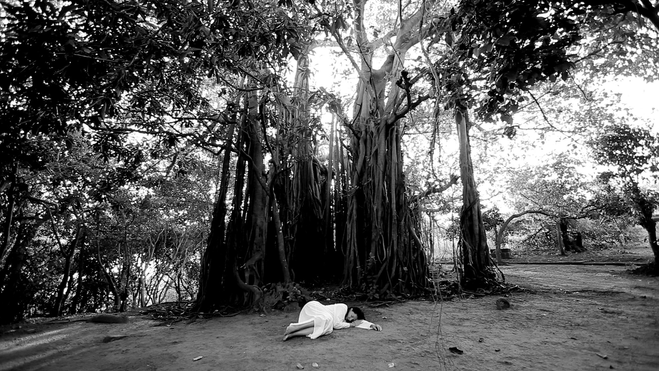 Marina Abramović: Sleeping Under the Banyan Tree, 2010