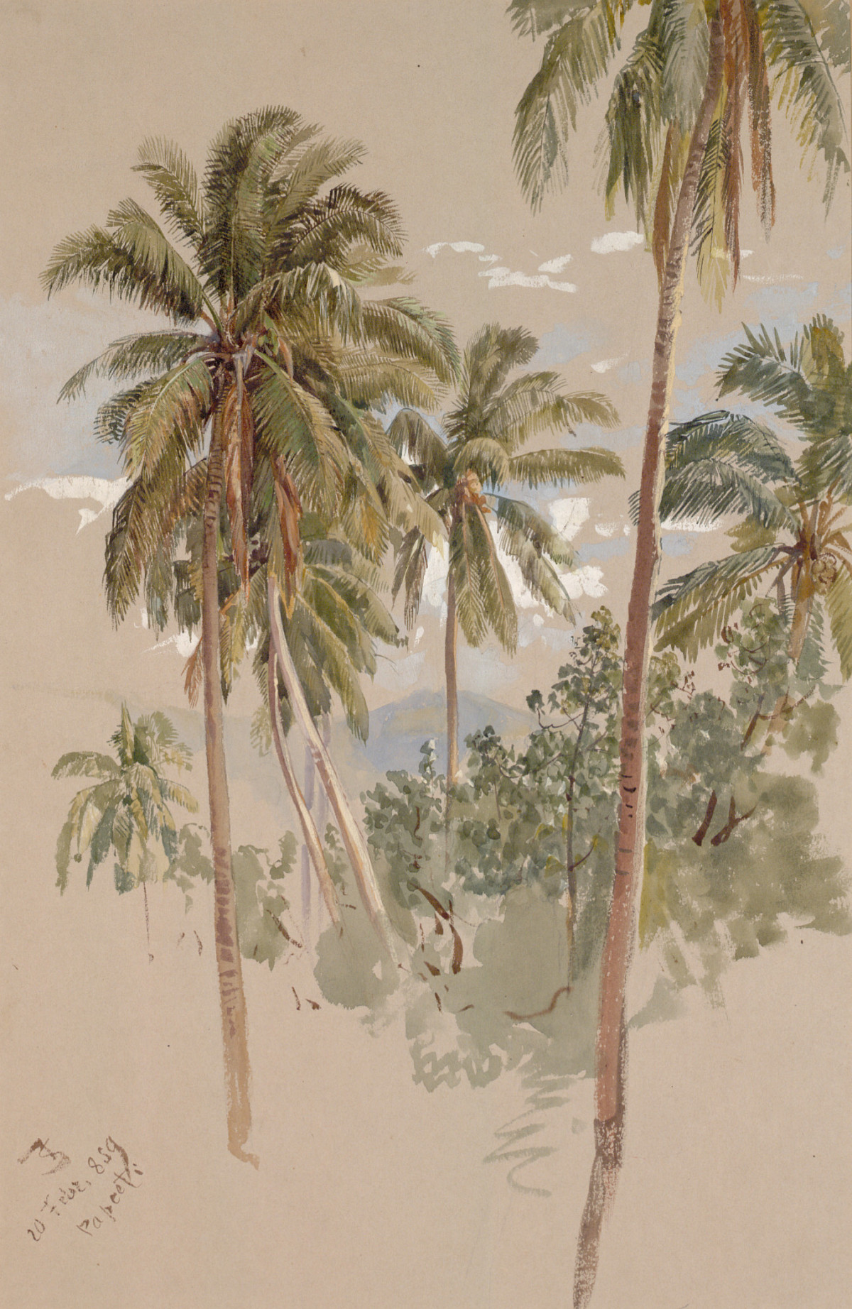 Coconut palms in the foreground, with lower trees behind them. Part of the picture is not painted, the paper is visible and there is a handwritten date and signature at the bottom left.