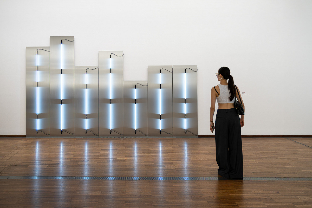 A woman looks at an installation mounted on the wall: several white neon tubes mounted on silver plates. A black cable runs through each tube.