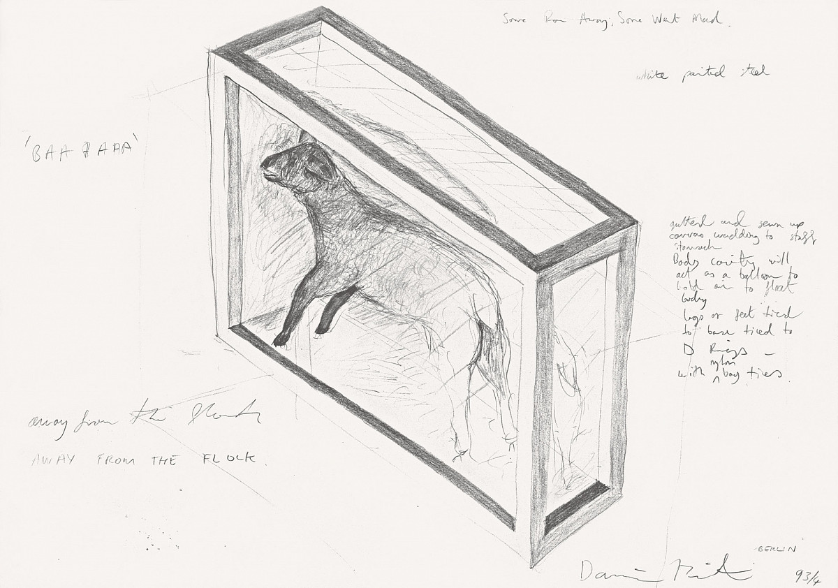 Bleistiftzeichnung der Skulptur ''Away from the Flock'', welche das Lamm in der Glasbox zeigt; mit ein paar Notizen rundum die Zeichnung.