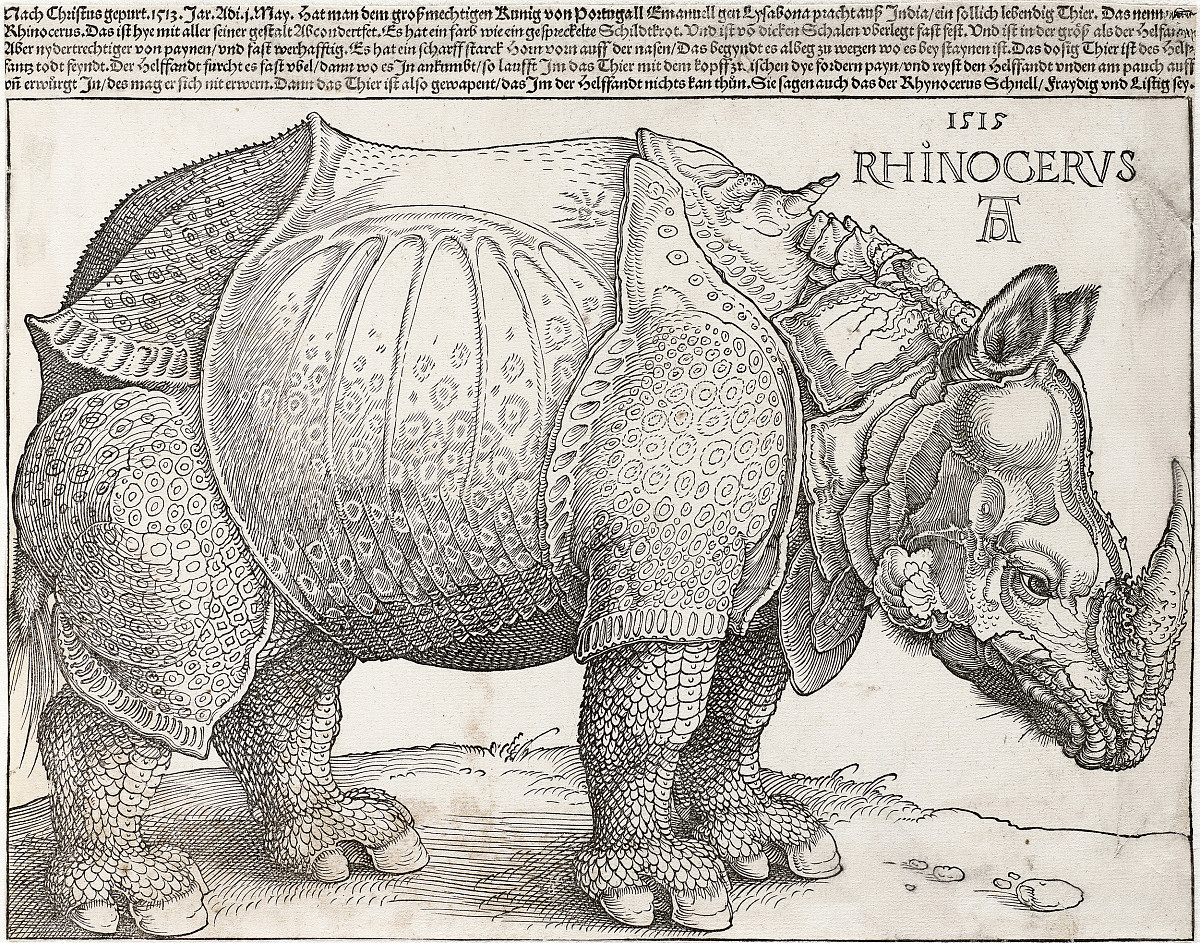 A drawing of a rhinoceros with a shell resembling a knight's armor. There is text above the animal.