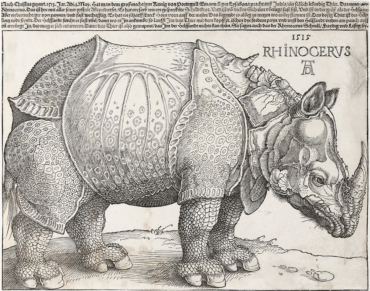 A drawing of a rhinoceros with a shell resembling a knight's armor. There is text above the animal.