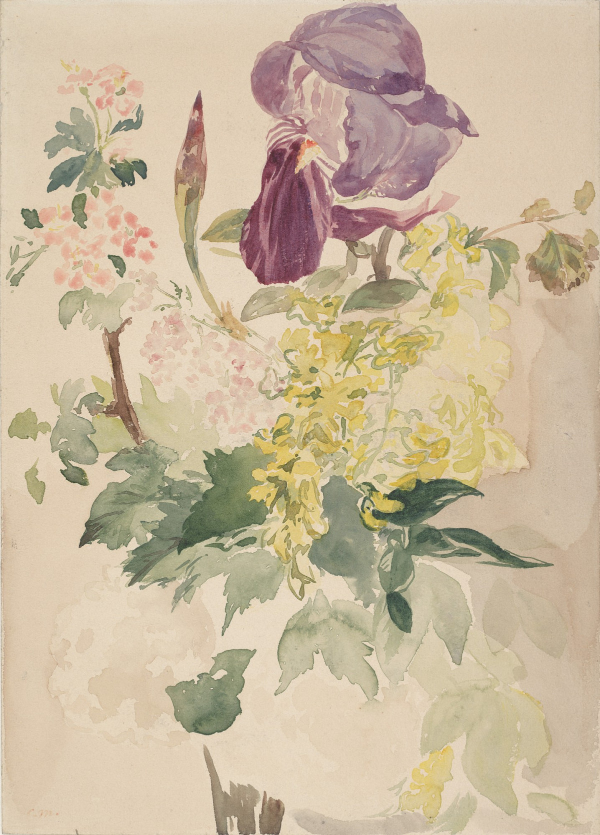 A colorful watercolor painting featuring an iris, laburnum, and geranium.