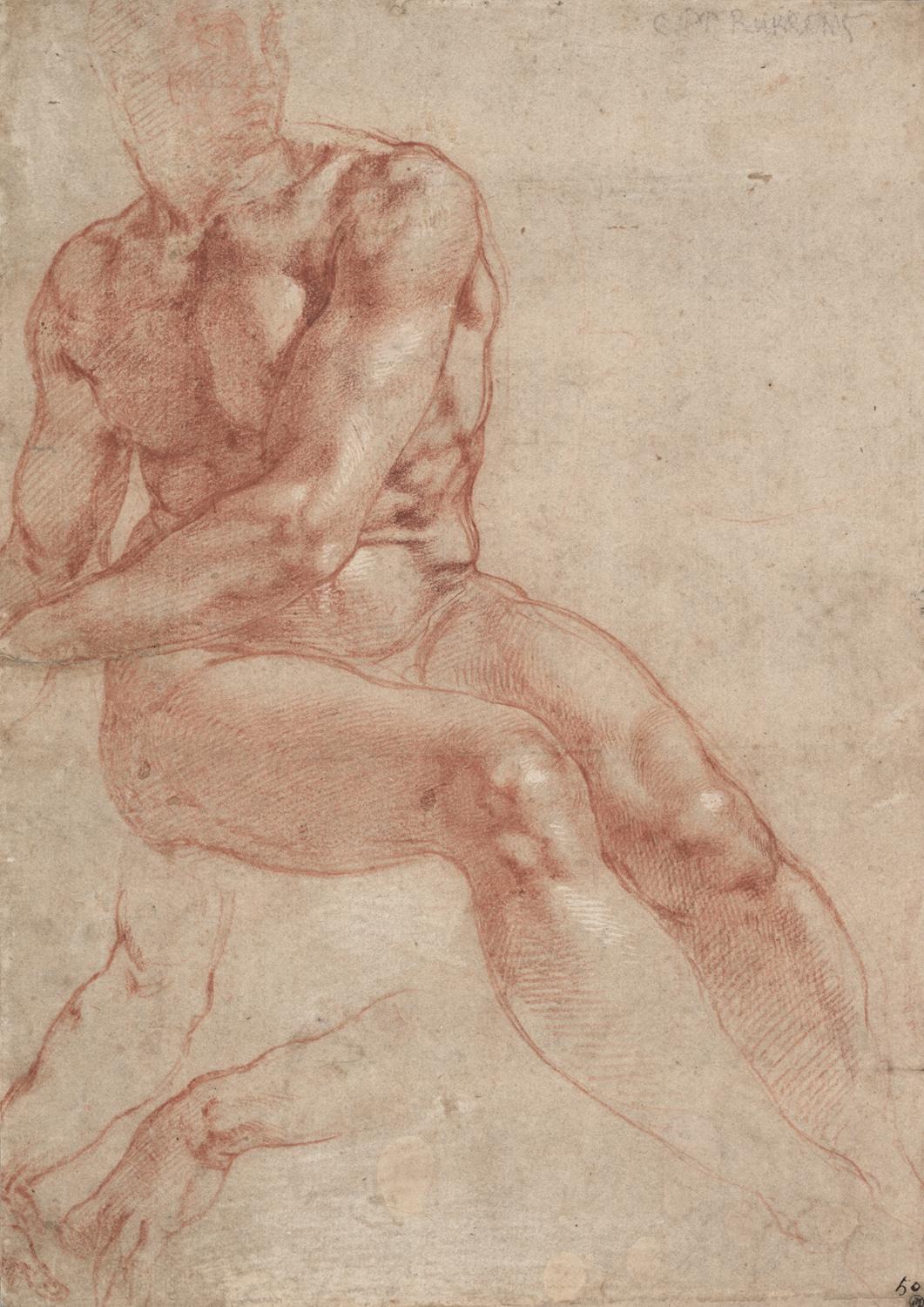 Michelangelo Buonarroti: Nude Image of a Seated Young Man and Two Studies of Arms, ca. 1510/11