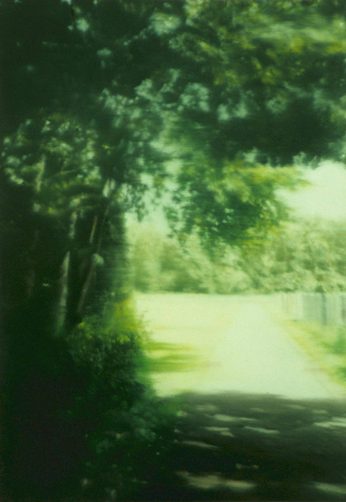 Gerhard Richter: Sommertag, 1999