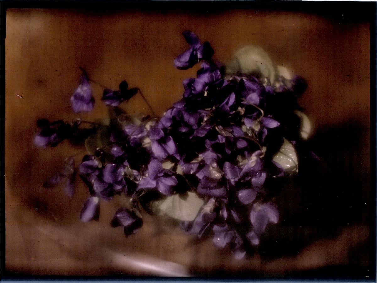 Heinrich Kühn: Violet, ca. 1908