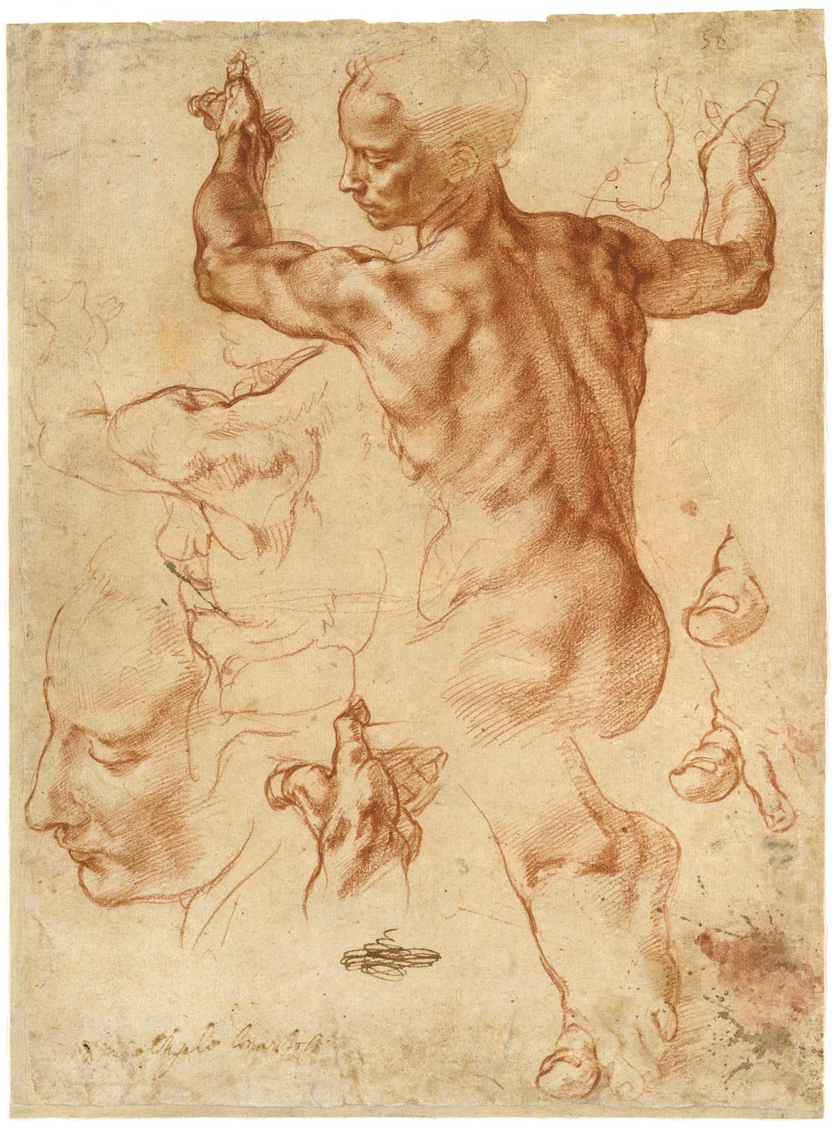 Michelangelo: Studies for the Libyan Sibyl (recto), 