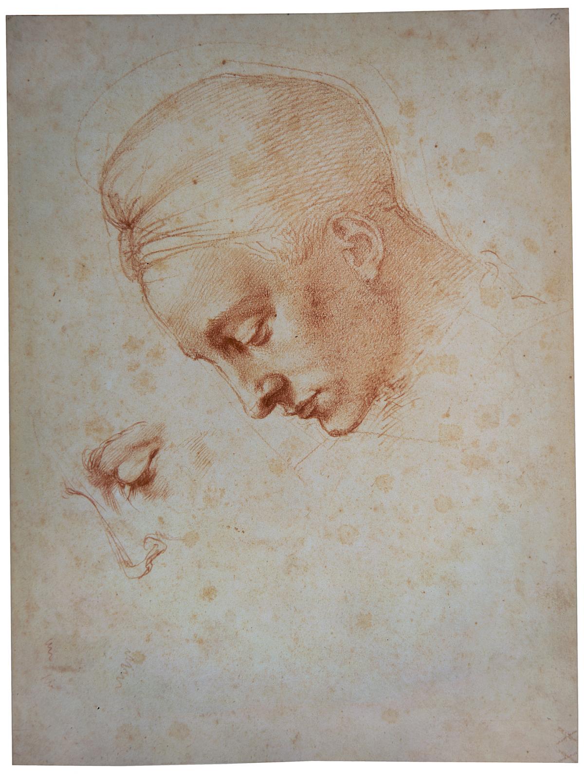 Michelangelo: Study of an Inclined Head and Detailed Eye Study, 