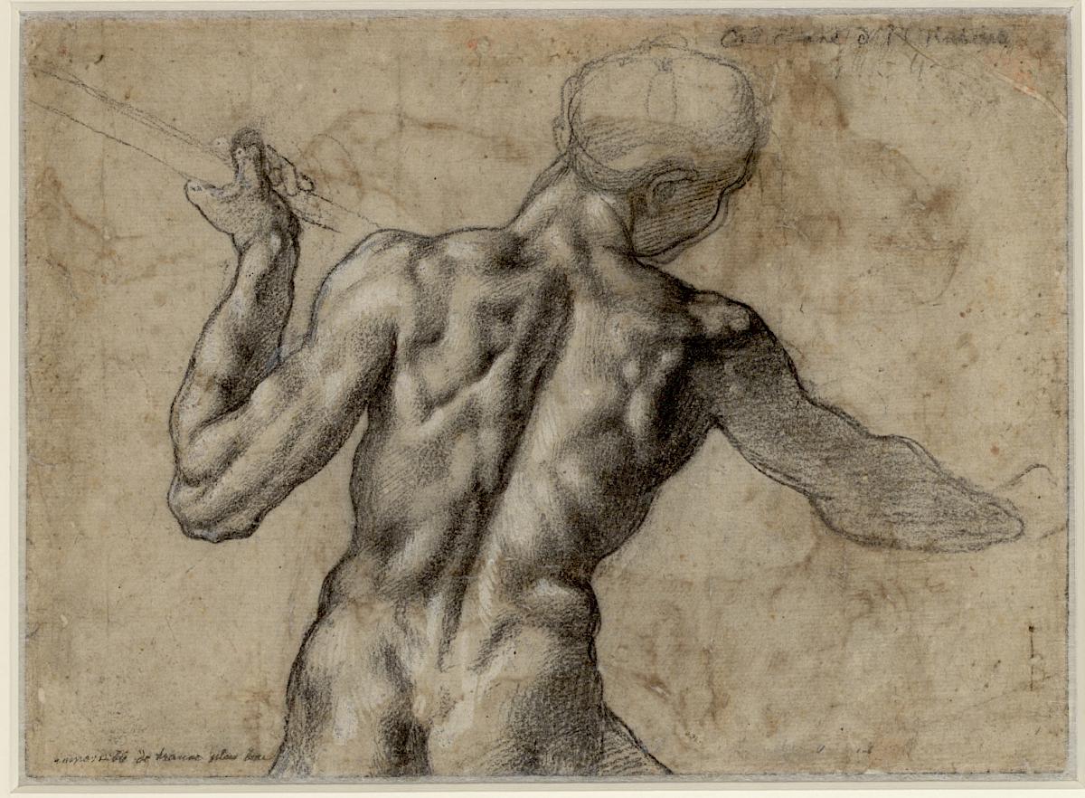 Michelangelo: Male Nude, Seen from the Rear (verso) , 