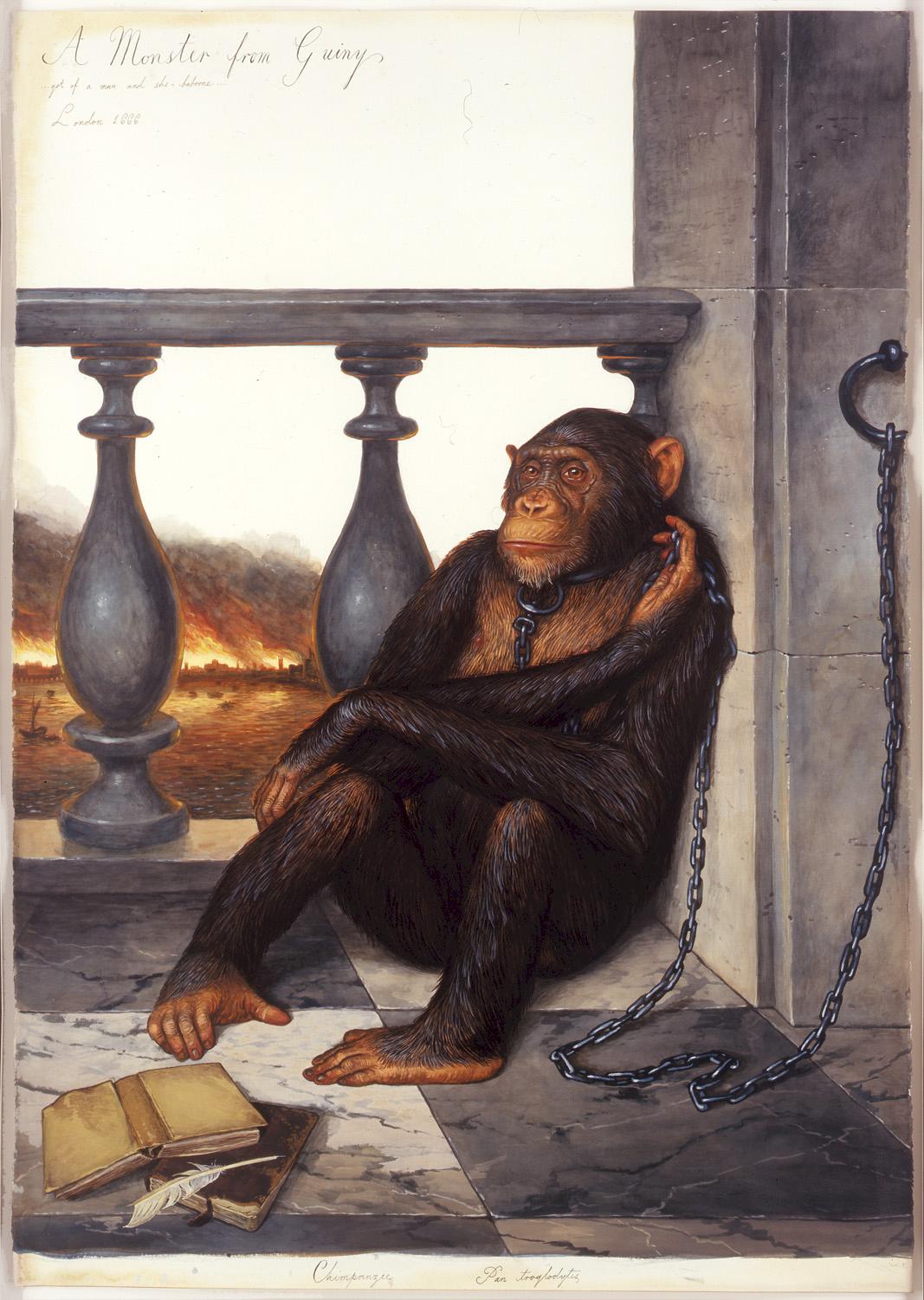 Walton Ford: A Monster From Guiny, 2007