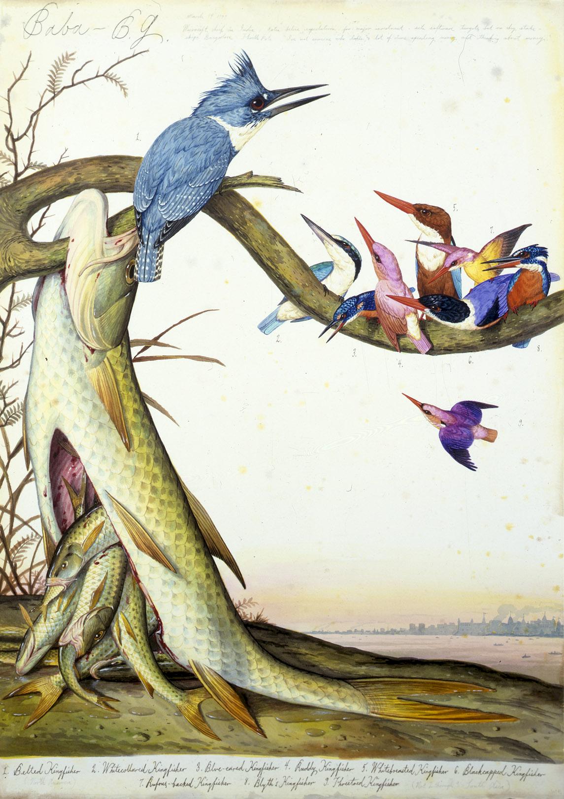 Walton Ford: Baba-B.G., 1997