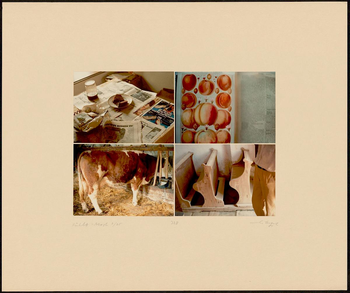 HEINZ CIBULKA | ARCHIVNUMMER: 328 (AUS DEM ZYKLUS FÜHLT-MOST ), 1981 | C-Print, 4 Fotos auf Untersatzkarton Blatt: 49,9 × 60,1 cm, Darstellung: 25,5 × 35,5 cm | Erwerbung aus Mitteln der Galerienförderung des BMUKK 2017 | Albertina, Wien