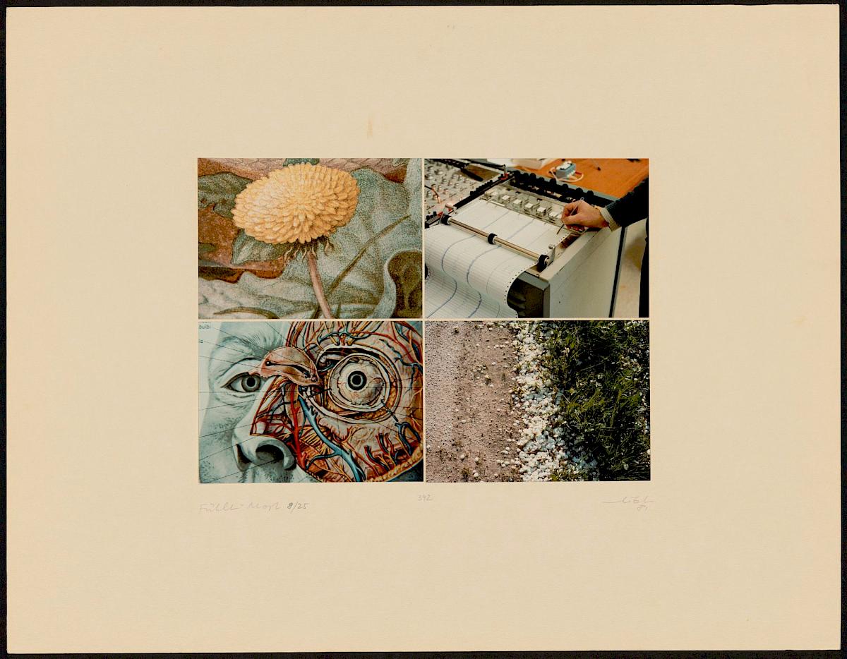 HEINZ CIBULKA | ARCHIVNUMMER:342 (AUS DEM ZYKLUS FÜHLT-MOST ), 1981 | C-Print, 4 Fotos auf Untersatzkarton Blatt: 50 × 64,9 cm, Darstellung: 25,5 × 35,5 cm | Erwerbung aus Mitteln der Galerienförderung des BMUKK 2017 | Albertina, Wien