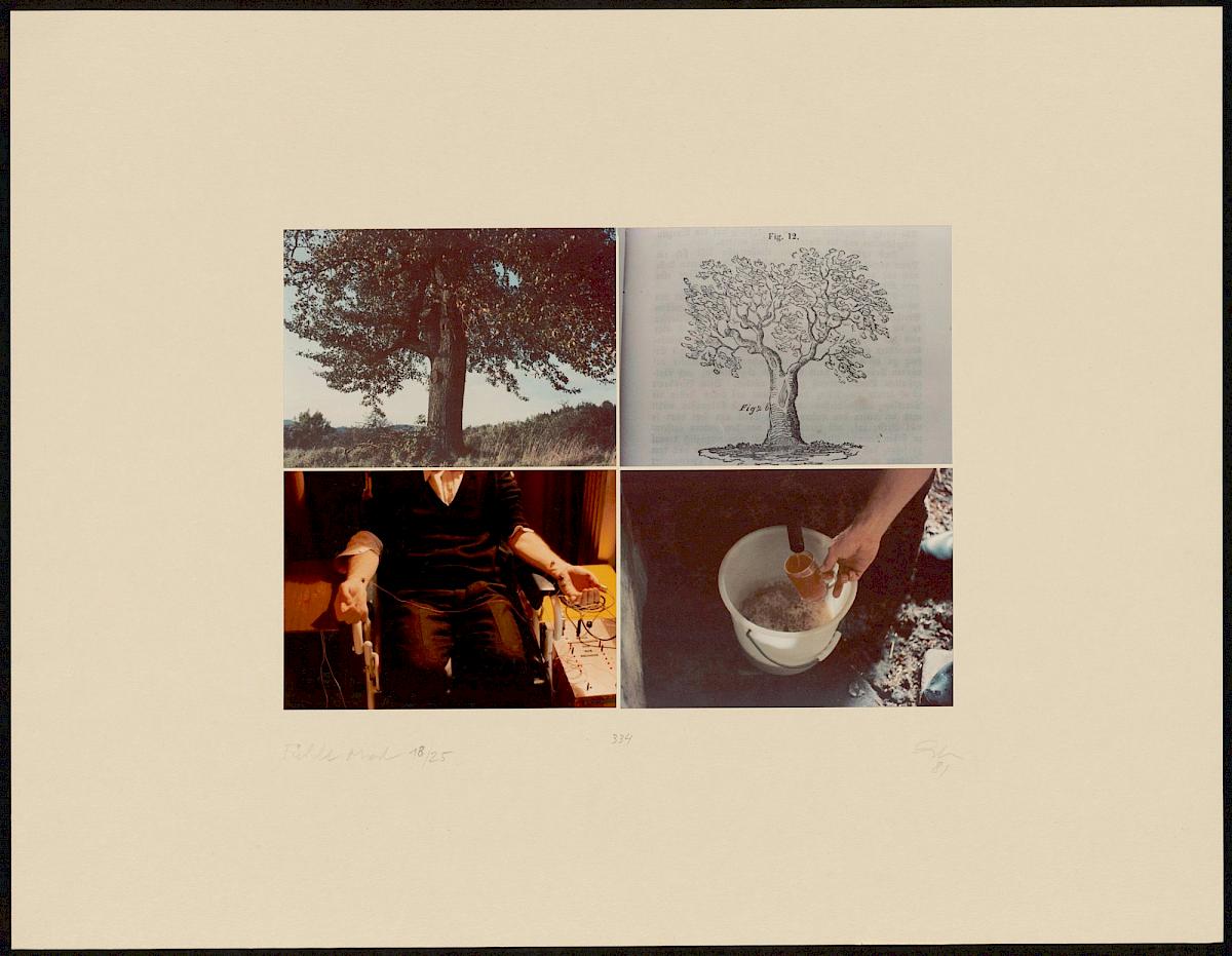 HEINZ CIBULKA | ARCHIVNUMMER: 334 (AUS DEM ZYKLUS FÜHLT-MOST ), 1981 | C-Print, 4 Fotos auf Untersatzkarton Blatt: 49,6 × 64,7 cm, Darstellung: 25,5 × 35,5 cm | Erwerbung aus Mitteln der Galerienförderung des BMUKK 2017 | Albertina, Wien
