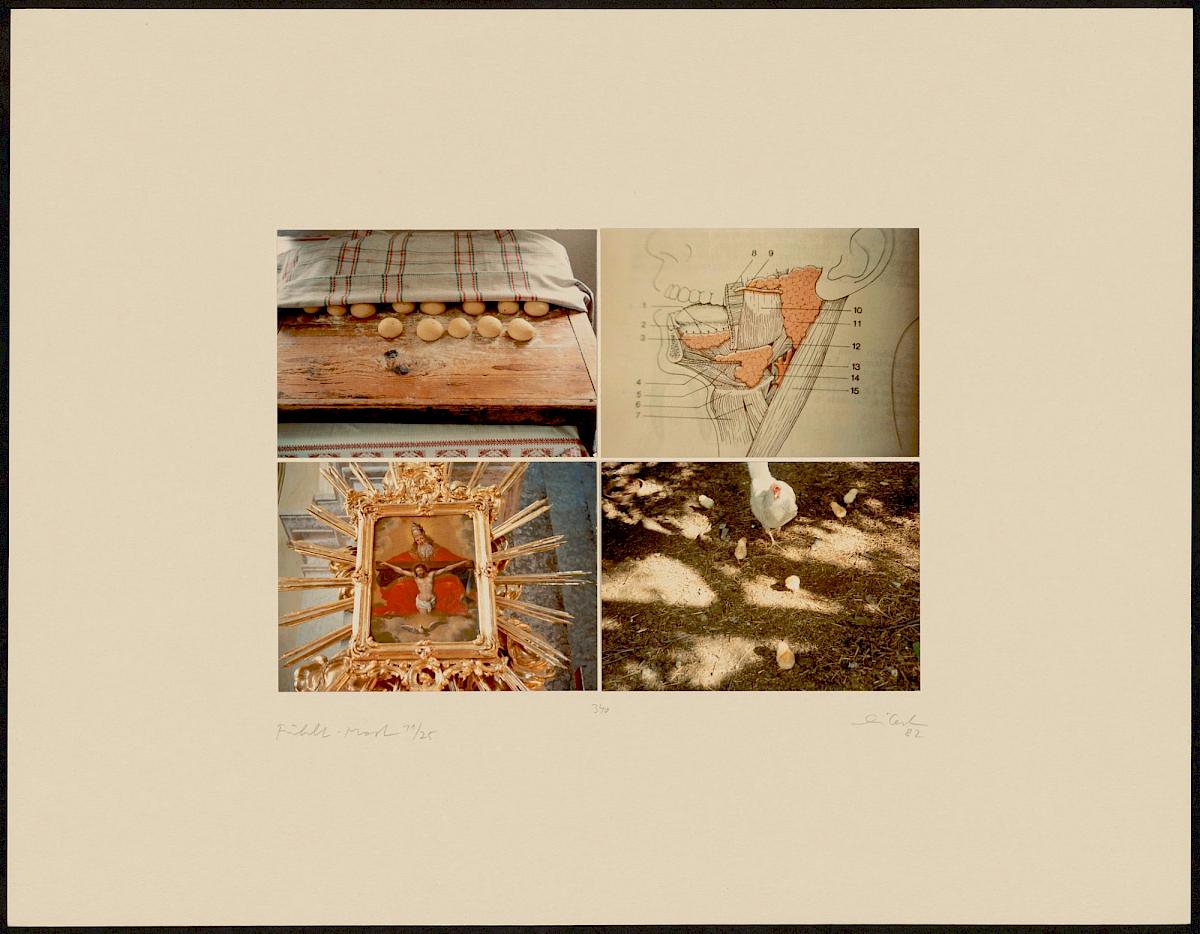 HEINZ CIBULKA | ARCHIVNUMMER: 327 (AUS DEM ZYKLUS FÜHLT-MOST ), 1982 |  C-Print, 4 Fotos auf Untersatzkarton Blatt: 49,9 × 64,9 cm, Darstellung: 25,5 × 35,5 cm | Erwerbung aus Mitteln der Galerienförderung des BMUKK 2017 | Albertina, Wien