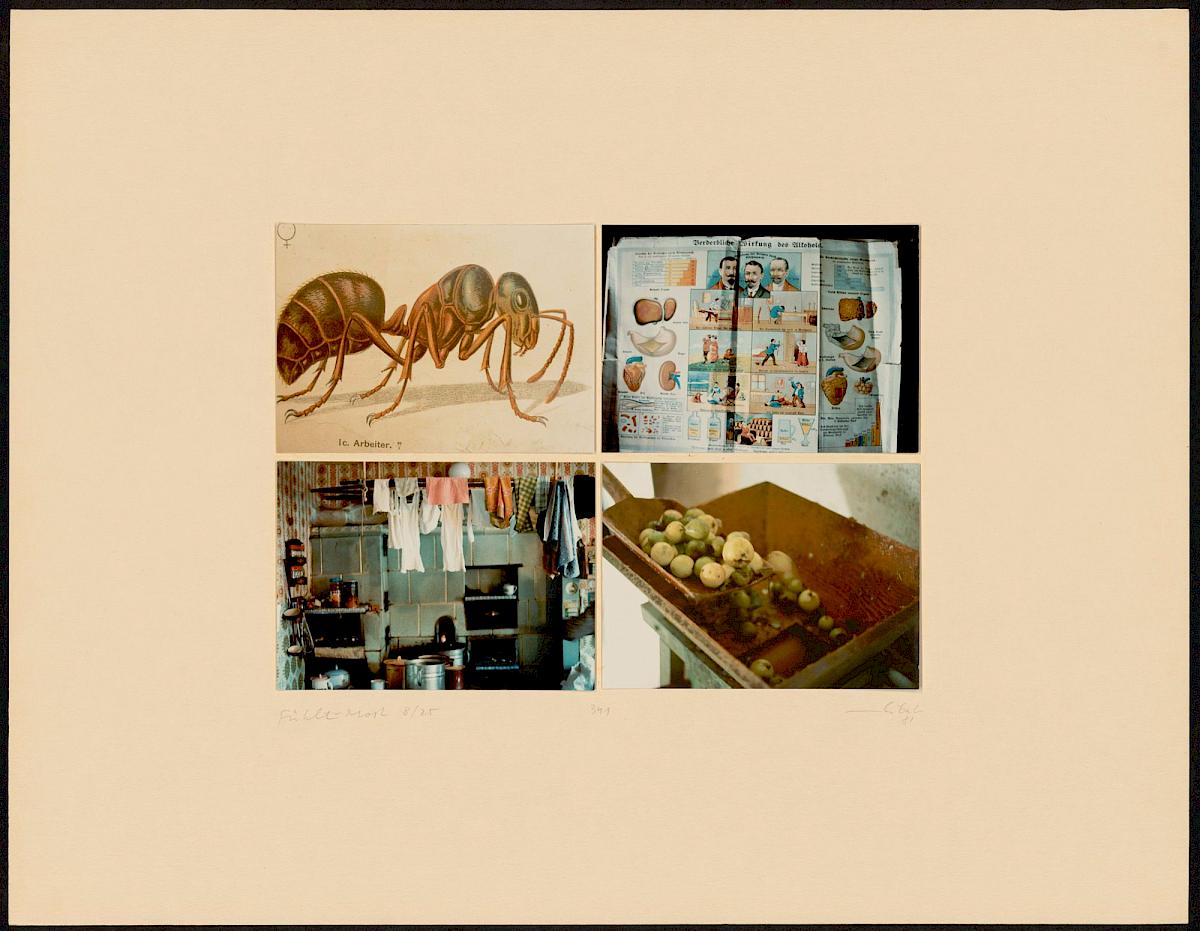 HEINZ CIBULKA | ARCHIVNUMMER: 341 (AUS DEM ZYKLUS FÜHLT-MOST ), 1981 | C-Print, 4 Fotos auf Untersatzkarton Blatt: 50 × 64,8 cm, Darstellung: 25,5 × 35,5 cm | Erwerbung aus Mitteln der Galerienförderung des BMUKK 2017 | Albertina, Wien