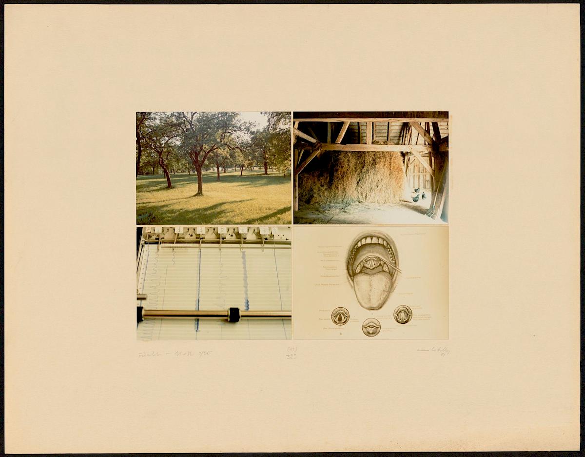 HEINZ CIBULKA | ARCHIVNUMMER: 325 (AUS DEM ZYKLUS FÜHLT-MOST ), 1982 C-Print, 4 Fotos auf Untersatzkarton Blatt: 50,1 × 64,8 cm, Darstellung: 25,5 × 35,5 cm | Erwerbung aus Mitteln der Galerienförderung des BMUKK 2017 | Albertina Wien