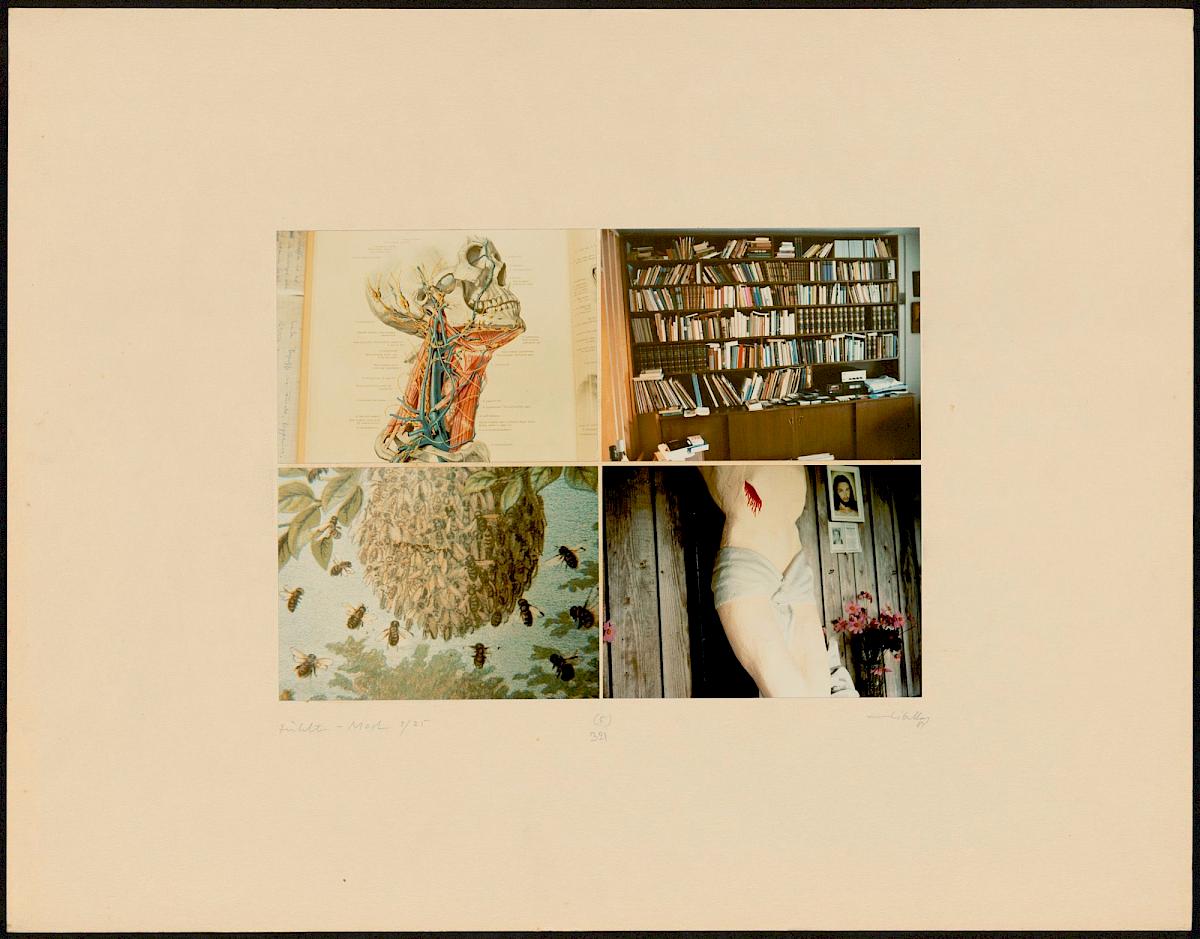 HEINZ CIBULKA | ARCHIVNUMMER: 321 (AUS DEM ZYKLUS FÜHLT-MOST ), 1982 | C-Print, 4 Fotos auf Untersatzkarton Blatt: 50,1 × 64,8 cm, Darstellung: 25,5 × 35,5 cm | Erwerbung aus Mitteln der Galerienförderung des BMUKK 2017 | Albertina, Wien