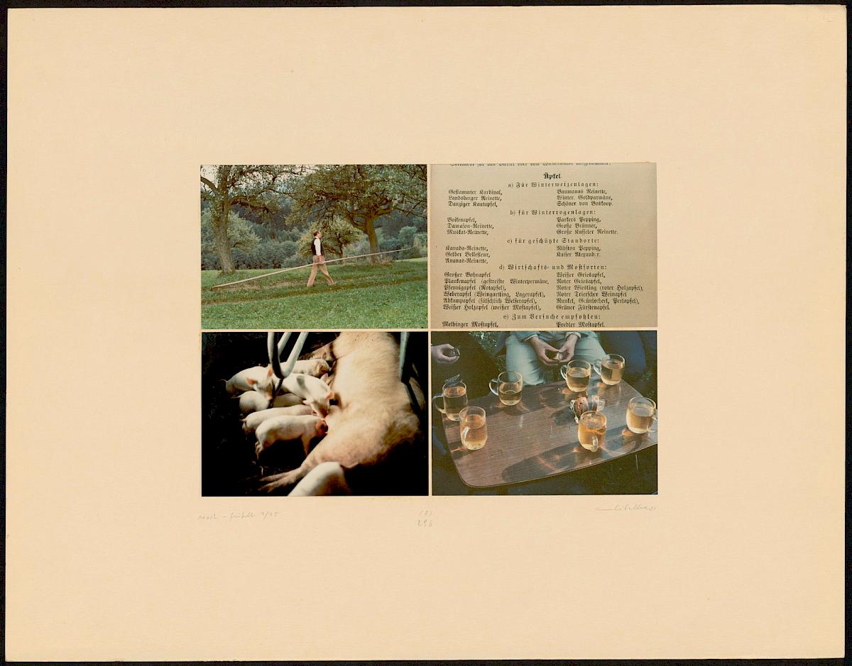 HEINZ CIBULKA | ARCHIVNUMMER: 296 (AUS DEM ZYKLUS MOST-FÜHLT ), 1981 | C-Print, 4 Fotos auf Untersatzkarton Blatt: 50,2 × 64,8 cm, Darstellung: 25,5 × 35,5 cm | Erwerbung aus Mitteln der Galerienförderung des BMUKK 2017 | Albertina Wien