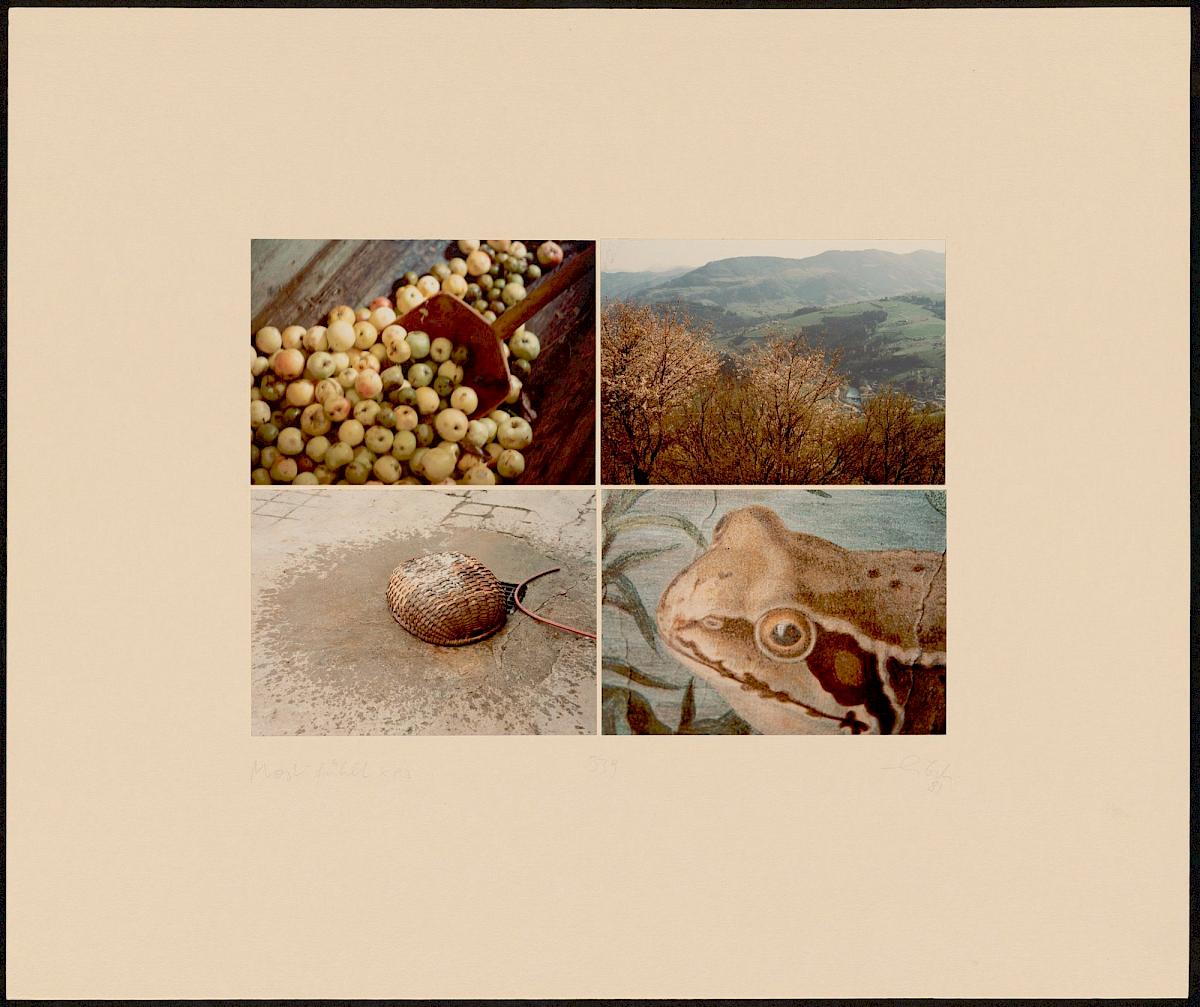 HEINZ CIBULKA | ARCHIVNUMMER: 339 (AUS DEM ZYKLUS FÜHLT-MOST ), 1981 | C-Print, 4 Fotos auf Untersatzkarton Blatt: 50 × 59,9 cm, Darstellung: 25,5 × 35,5 cm | Erwerbung aus Mitteln der Galerienförderung des BMUKK 2017 | Albertina, Wien