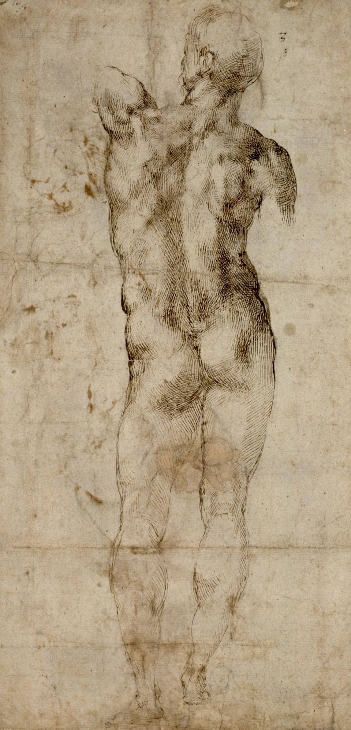 Michelangelo Buonarroti: Standing Male Nude Seen From Behind, 1501-04