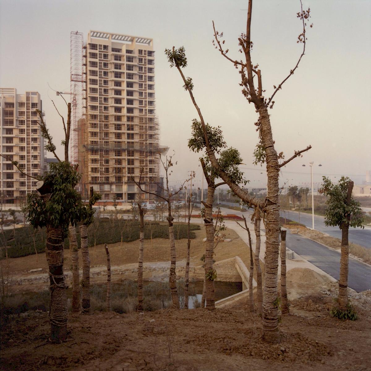 HANNES BÖCK | New Hefei, 2008 | C-Print, Maße: 30 x 40 cm | Erworben aus den Mitteln der Galerieförderung des BMUKK  | Albertina, Wien