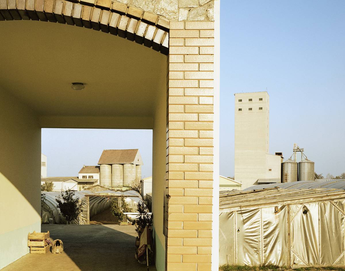 Alfred Seiland: Wallern, Austria, 1991