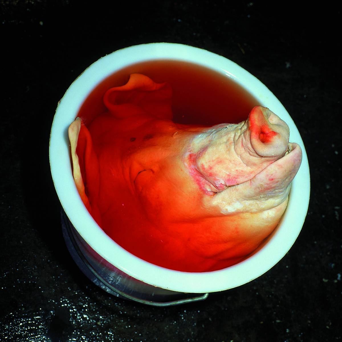 Manfred Willmann: Untitled, from the series Das Land, 1981-1993