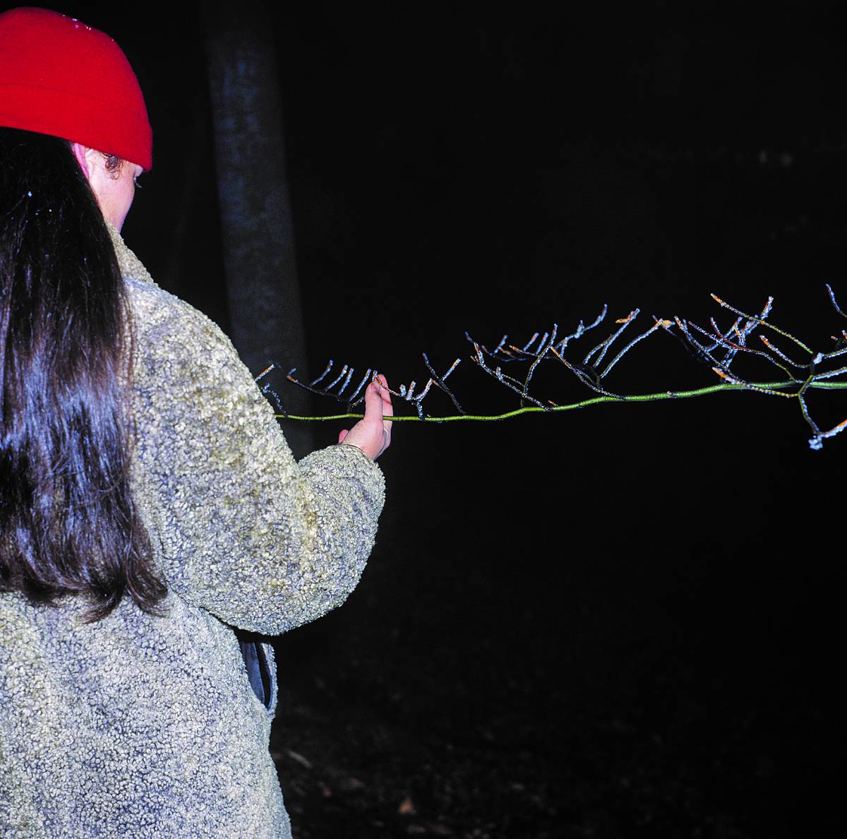 Manfred Willmann: Untitled, from the series Das Land, 