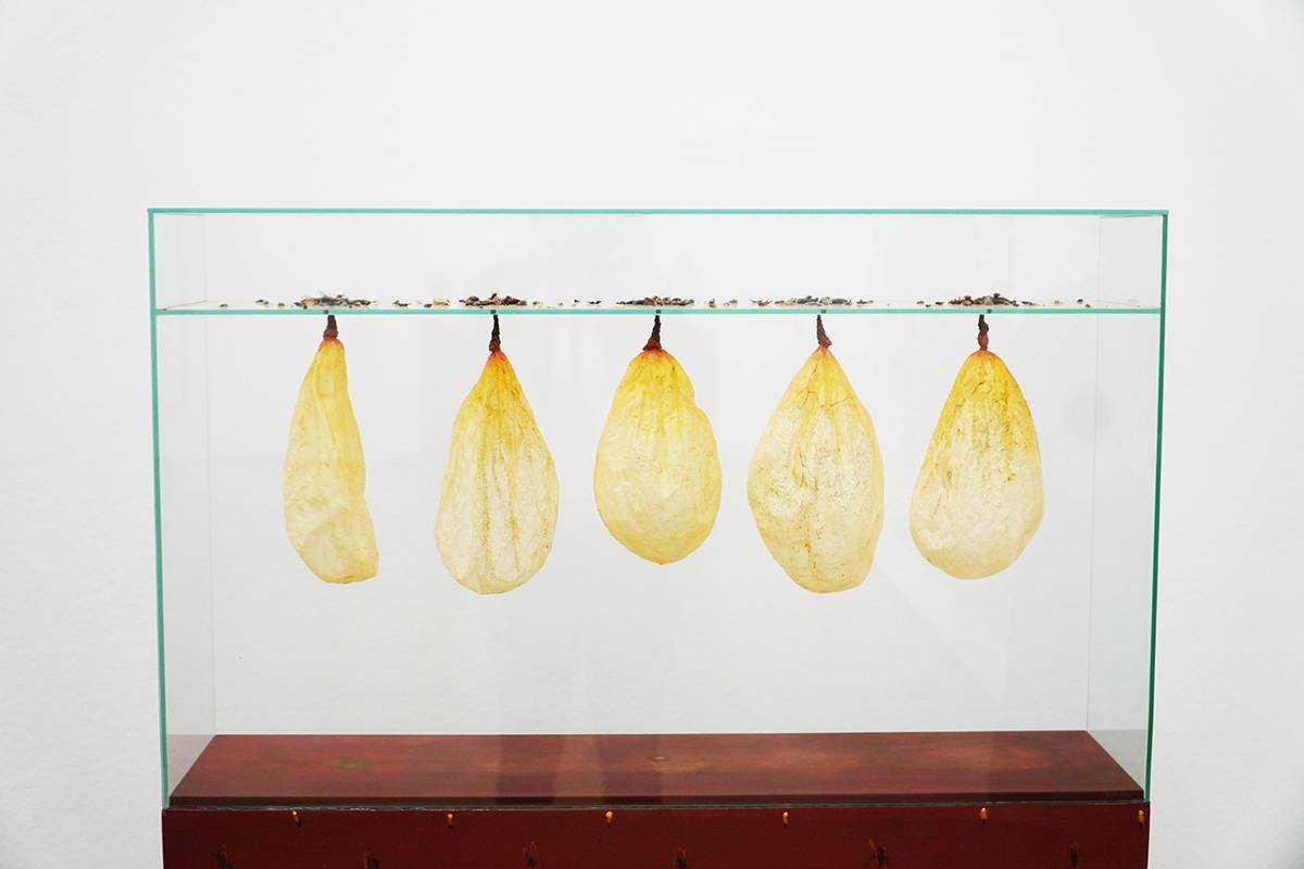 Walter Schmögner: Fünf Blasen, 2000