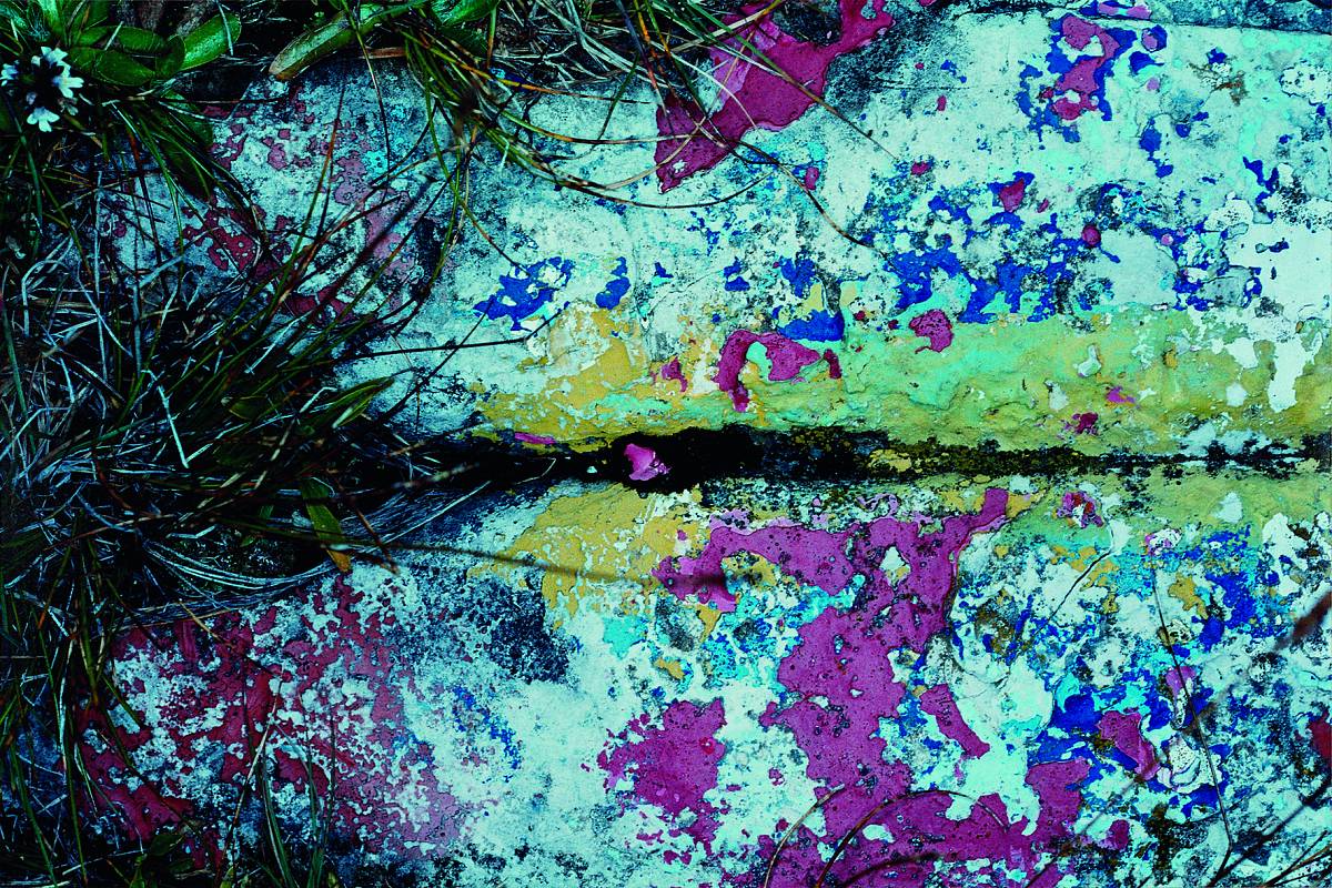 Manfred Willmann: Untitled, from the series Lightning Flash & Gentian Blue, 2005