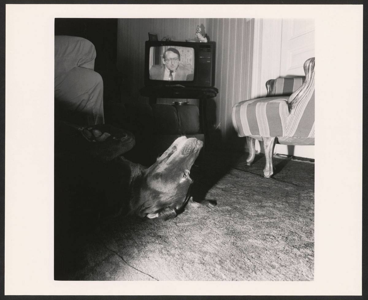 Christian Wachter | Ohne Titel ( aus der Serie "Acedia"), 1985 | Vintage-Print auf Barytpapier (von 6x6cm Negativ) | Darstellung: 36,2 × 36,1 cm Fotopapier: 40 × 49,6 cm (15 3/4 × 19 1/2 in.) | Albertina, Wien. Erwerbung aus Mitteln der Galerienförderung des BMUKK 2018 © Bildrecht, Wien, 2019